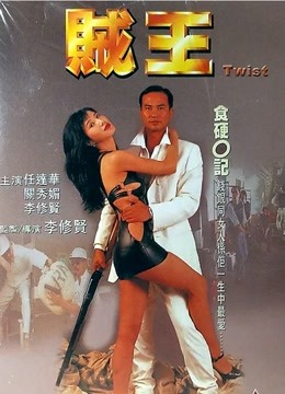 贼王 1995剧照