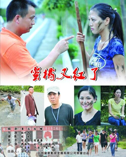 蜜橘又红了海报