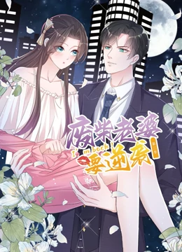 逆袭归来：我的废柴老婆 第三季海报