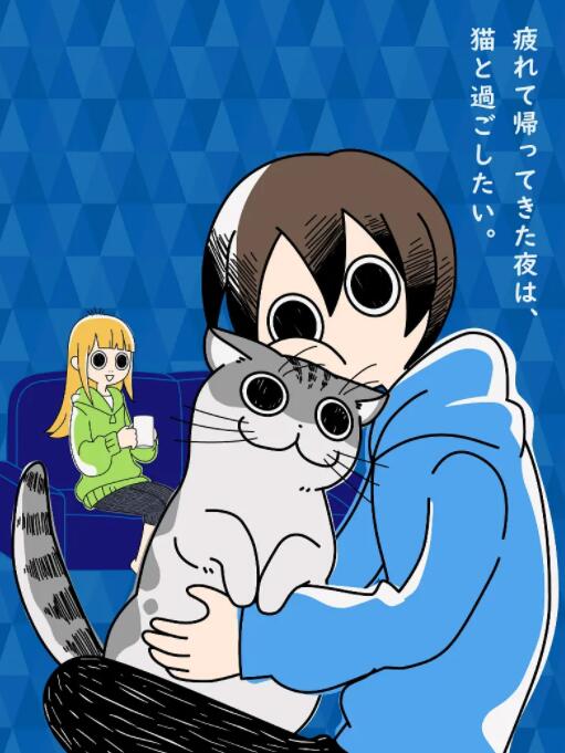 关于养猫我一直是新手海报