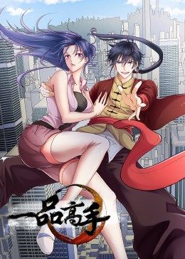 一品高手海报