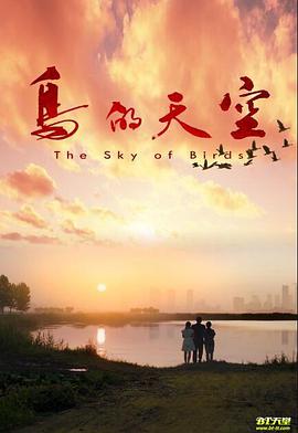 鸟的天空海报