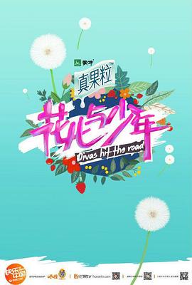 花儿与少年 第四季海报