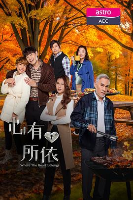心有所依海报